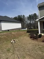Canela, a female Cavalier King Charles Spaniel for sale in Chatsworth, GA – 10 of 10