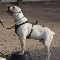 processed/62ef5f7d-774d-459e-8c5f-d063c1a1778f/facility/30f06a52-af79-4e79-9e3e-758a18542c0c