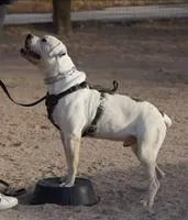 processed/62ef5f7d-774d-459e-8c5f-d063c1a1778f/facility/30f06a52-af79-4e79-9e3e-758a18542c0c