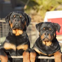 processed/62ef5f7d-774d-459e-8c5f-d063c1a1778f/facility/38040860-2709-4d47-a3dc-fe7192639322