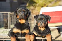 processed/62ef5f7d-774d-459e-8c5f-d063c1a1778f/facility/38040860-2709-4d47-a3dc-fe7192639322