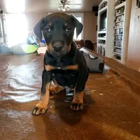 processed/62ef5f7d-774d-459e-8c5f-d063c1a1778f/facility/5b86075d-279e-460a-9695-2305d259e2bd