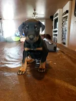 processed/62ef5f7d-774d-459e-8c5f-d063c1a1778f/facility/5b86075d-279e-460a-9695-2305d259e2bd