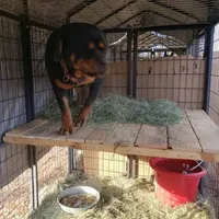 processed/62ef5f7d-774d-459e-8c5f-d063c1a1778f/facility/6b4339cd-f2c2-4bcc-a9c9-7b97f0ce580b