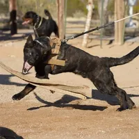 processed/62ef5f7d-774d-459e-8c5f-d063c1a1778f/facility/6f46c2d0-d1f2-478c-abc2-003dc46af5f9