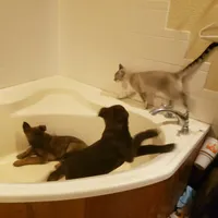 processed/62ef5f7d-774d-459e-8c5f-d063c1a1778f/facility/7f433fa9-ca00-4adf-9dc8-aab8830a595f