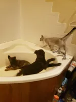 processed/62ef5f7d-774d-459e-8c5f-d063c1a1778f/facility/7f433fa9-ca00-4adf-9dc8-aab8830a595f