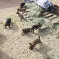 processed/62ef5f7d-774d-459e-8c5f-d063c1a1778f/facility/e70d69a7-3efd-4936-bf94-4a1cf38cdd92