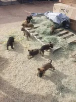 processed/62ef5f7d-774d-459e-8c5f-d063c1a1778f/facility/e70d69a7-3efd-4936-bf94-4a1cf38cdd92