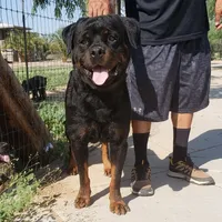 processed/62ef5f7d-774d-459e-8c5f-d063c1a1778f/facility/e7f3aa21-2210-4fe2-8050-d8eb21d3163a