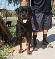 processed/62ef5f7d-774d-459e-8c5f-d063c1a1778f/facility/e7f3aa21-2210-4fe2-8050-d8eb21d3163a