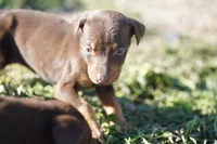 processed/62ef5f7d-774d-459e-8c5f-d063c1a1778f/listing/046ba7f5-7248-46b9-a528-0c38612802c1/16765fa4-4699-4728-afed-f93baced83ba