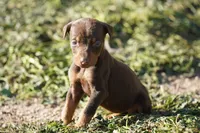 processed/62ef5f7d-774d-459e-8c5f-d063c1a1778f/listing/046ba7f5-7248-46b9-a528-0c38612802c1/3351f882-209c-4349-8e0e-fd2da6316e29