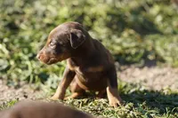 processed/62ef5f7d-774d-459e-8c5f-d063c1a1778f/listing/046ba7f5-7248-46b9-a528-0c38612802c1/7cb2ea44-125b-4a1b-84e5-f0f267d188eb