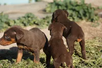 processed/62ef5f7d-774d-459e-8c5f-d063c1a1778f/listing/046ba7f5-7248-46b9-a528-0c38612802c1/bbb2ee6e-9f1e-4c83-b542-1b635584d493