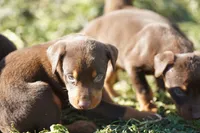 processed/62ef5f7d-774d-459e-8c5f-d063c1a1778f/listing/046ba7f5-7248-46b9-a528-0c38612802c1/f639ce85-8fa6-433a-b1ad-62ba1fb77004