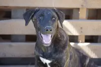 processed/62ef5f7d-774d-459e-8c5f-d063c1a1778f/listing/06a78c84-498d-47da-9c77-5b4f47793388/12a61cad-ea82-4a66-a9f3-2db37d7d2de4