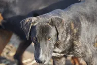 processed/62ef5f7d-774d-459e-8c5f-d063c1a1778f/listing/06a78c84-498d-47da-9c77-5b4f47793388/2d8b98f8-cdfb-47bd-9b40-e0ae18e04079