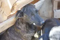 processed/62ef5f7d-774d-459e-8c5f-d063c1a1778f/listing/06a78c84-498d-47da-9c77-5b4f47793388/3035dd4d-1335-462a-9e8b-8a6aabb78cbf