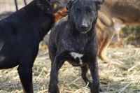 processed/62ef5f7d-774d-459e-8c5f-d063c1a1778f/listing/06a78c84-498d-47da-9c77-5b4f47793388/472550b8-ced7-4a13-9fbb-0d405c830dca