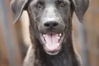 processed/62ef5f7d-774d-459e-8c5f-d063c1a1778f/listing/06a78c84-498d-47da-9c77-5b4f47793388/63bff15e-347e-4af2-b40e-781319c5f17a