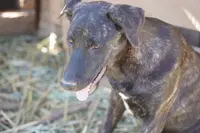 processed/62ef5f7d-774d-459e-8c5f-d063c1a1778f/listing/06a78c84-498d-47da-9c77-5b4f47793388/b95684b4-aa14-450f-b5ce-91ae49c07204