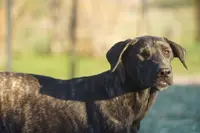 processed/62ef5f7d-774d-459e-8c5f-d063c1a1778f/listing/06a78c84-498d-47da-9c77-5b4f47793388/bce06e6d-883b-4989-8bd4-dc664d01dda9