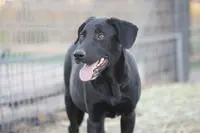 processed/62ef5f7d-774d-459e-8c5f-d063c1a1778f/listing/1e60f103-17ae-493c-8af6-03e8de38d5b7/1ffd5264-2d92-40b4-9197-29c21fbbac09