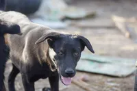 processed/62ef5f7d-774d-459e-8c5f-d063c1a1778f/listing/1e60f103-17ae-493c-8af6-03e8de38d5b7/3eade677-b581-4425-aaa0-ac15bccabc22