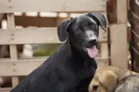 processed/62ef5f7d-774d-459e-8c5f-d063c1a1778f/listing/1e60f103-17ae-493c-8af6-03e8de38d5b7/470d7145-98b3-4f3f-b9ce-a62bee7c2028