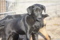 processed/62ef5f7d-774d-459e-8c5f-d063c1a1778f/listing/1e60f103-17ae-493c-8af6-03e8de38d5b7/9c1e0b8d-9f4a-47e1-ba7d-b2a48ba4de50