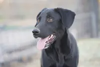 processed/62ef5f7d-774d-459e-8c5f-d063c1a1778f/listing/1e60f103-17ae-493c-8af6-03e8de38d5b7/c7b78164-684b-4200-8d44-07a3f85ad22b