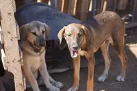 processed/62ef5f7d-774d-459e-8c5f-d063c1a1778f/listing/2efda151-5e72-4018-b0af-3eedc09a6737/2b8fa04c-d697-4a25-8313-32f517ef829c