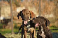 processed/62ef5f7d-774d-459e-8c5f-d063c1a1778f/listing/2efda151-5e72-4018-b0af-3eedc09a6737/2d355f6c-74c4-43a4-abe8-76ee76aad1e3