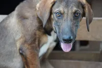 processed/62ef5f7d-774d-459e-8c5f-d063c1a1778f/listing/2efda151-5e72-4018-b0af-3eedc09a6737/45d3a276-ec56-4766-9791-b23cfe45a243