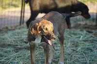 processed/62ef5f7d-774d-459e-8c5f-d063c1a1778f/listing/2efda151-5e72-4018-b0af-3eedc09a6737/4a0c15ca-95f5-403a-ae2d-9c49522ebabf