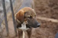 processed/62ef5f7d-774d-459e-8c5f-d063c1a1778f/listing/2efda151-5e72-4018-b0af-3eedc09a6737/69f9a956-49eb-428f-aaad-06ae6d9def11