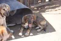 processed/62ef5f7d-774d-459e-8c5f-d063c1a1778f/listing/2efda151-5e72-4018-b0af-3eedc09a6737/6c1d3513-09d9-4330-8490-4bf0106a027e