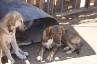 processed/62ef5f7d-774d-459e-8c5f-d063c1a1778f/listing/2efda151-5e72-4018-b0af-3eedc09a6737/a7cca37e-3ab1-44ff-848f-86a3f74c52a6