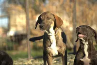 processed/62ef5f7d-774d-459e-8c5f-d063c1a1778f/listing/2efda151-5e72-4018-b0af-3eedc09a6737/ee9f4451-0817-4dd8-8f0f-df244e46750d