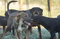 processed/62ef5f7d-774d-459e-8c5f-d063c1a1778f/listing/2efda151-5e72-4018-b0af-3eedc09a6737/fecd3010-2459-454a-b1e0-454a16d7b287