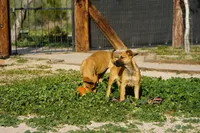 processed/62ef5f7d-774d-459e-8c5f-d063c1a1778f/listing/31349b9f-2281-405e-80f6-6730645db60b/0fb2792b-5b5b-4989-92a5-166acb13ff7a