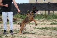 processed/62ef5f7d-774d-459e-8c5f-d063c1a1778f/listing/31349b9f-2281-405e-80f6-6730645db60b/4ceba70b-01dd-4fb0-96a6-159fb3f05788