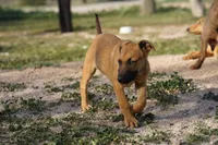 processed/62ef5f7d-774d-459e-8c5f-d063c1a1778f/listing/31349b9f-2281-405e-80f6-6730645db60b/5e389de5-490a-4042-99e6-794f78f91b6d