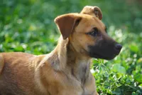 processed/62ef5f7d-774d-459e-8c5f-d063c1a1778f/listing/31349b9f-2281-405e-80f6-6730645db60b/f42519d9-57f7-400c-8904-5fbeb4283dac