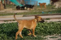 processed/62ef5f7d-774d-459e-8c5f-d063c1a1778f/listing/31349b9f-2281-405e-80f6-6730645db60b/f7360f52-2b37-4c1c-a400-4f77c39f3333