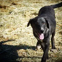 processed/62ef5f7d-774d-459e-8c5f-d063c1a1778f/listing/35b6b291-494b-4299-88cc-ab3b2841c7df/0e18803f-34e9-4709-ab22-de932d775404