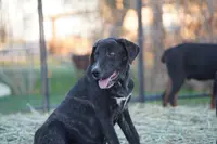 processed/62ef5f7d-774d-459e-8c5f-d063c1a1778f/listing/35b6b291-494b-4299-88cc-ab3b2841c7df/84a00fff-692d-4264-9a03-f1fedac1dc1c