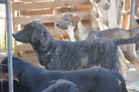 processed/62ef5f7d-774d-459e-8c5f-d063c1a1778f/listing/35b6b291-494b-4299-88cc-ab3b2841c7df/8db53e7d-bf0a-467b-9642-dc8dc8b07691