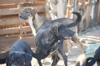 processed/62ef5f7d-774d-459e-8c5f-d063c1a1778f/listing/35b6b291-494b-4299-88cc-ab3b2841c7df/a88aebae-f9df-404e-8390-6aa23564c22b